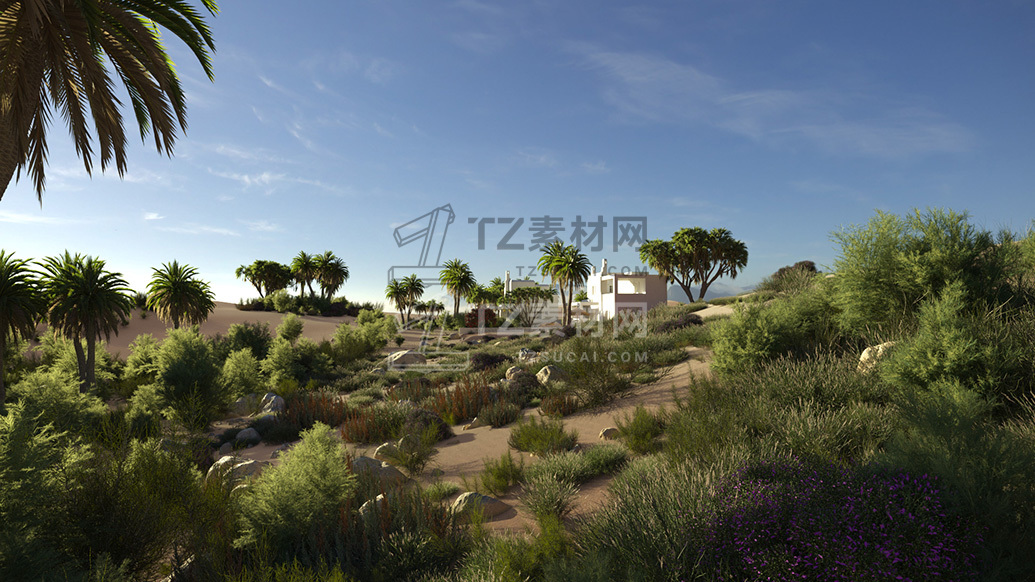 AM276_Cover.jpg