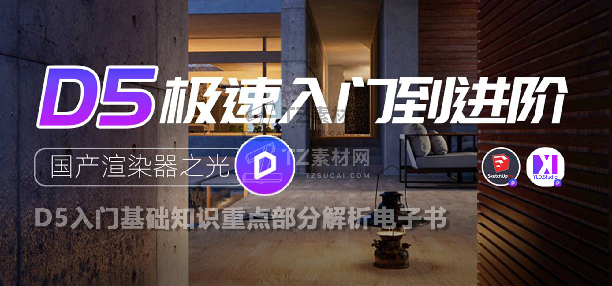 天紫封面图.jpg