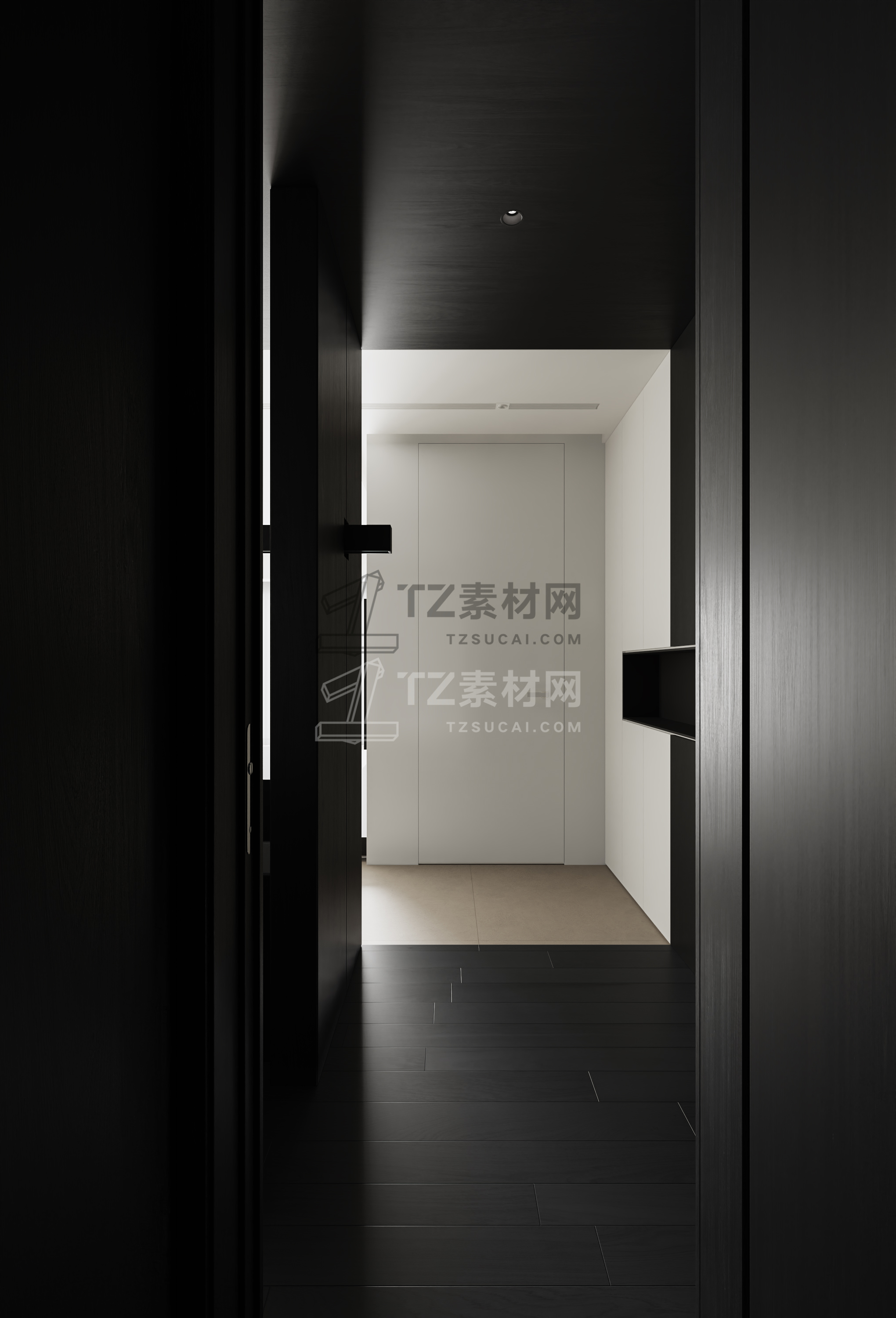 Corona Camera006_output.jpg