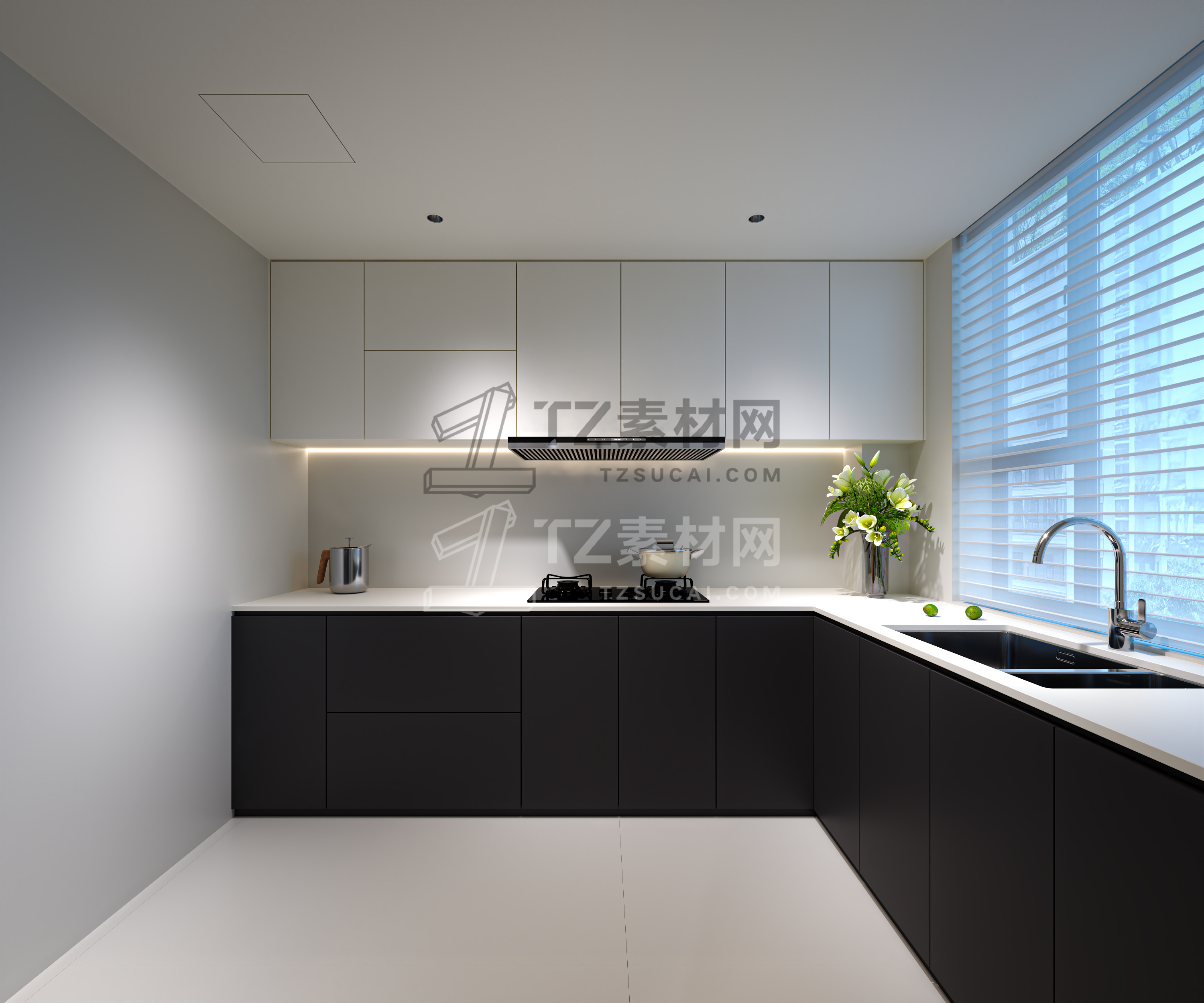 Corona Camera009_output.jpg