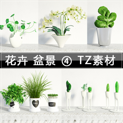花卉植物盆景饰品3Dmax模型